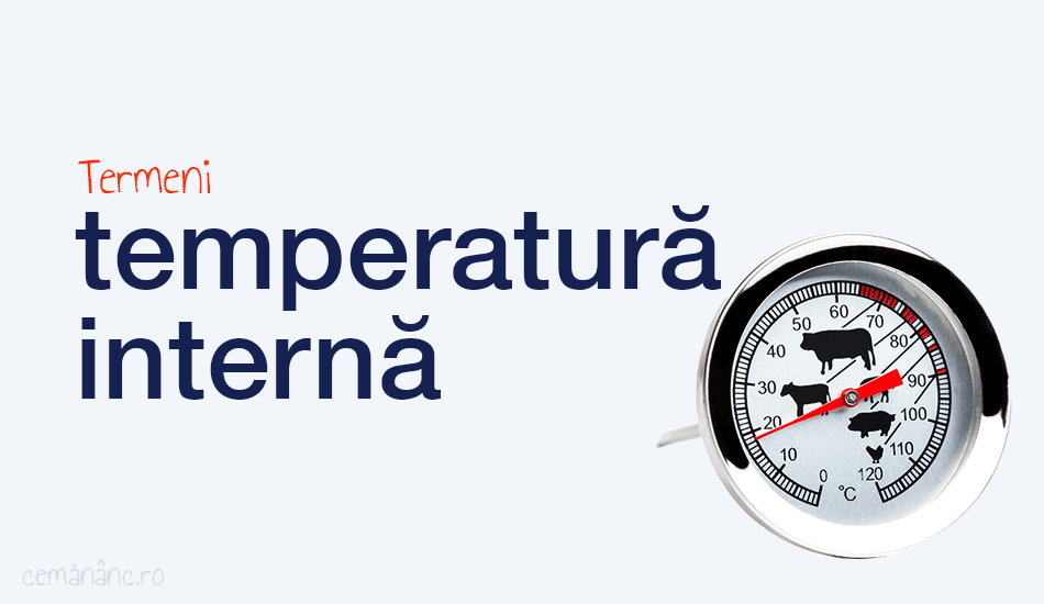 Definiție Temperatură Internă