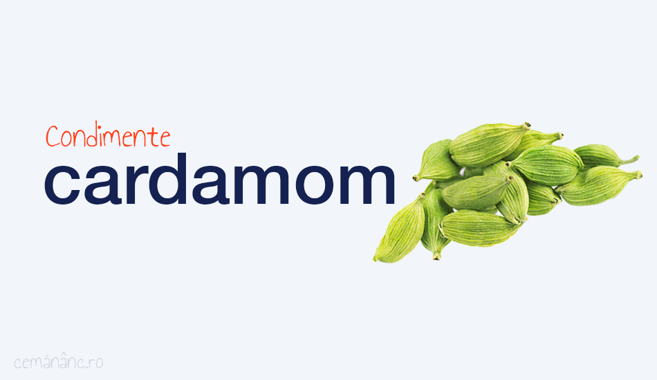 Definiție Cardamom